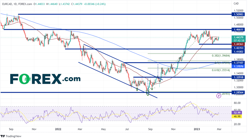 Daily EUR/CAD chart