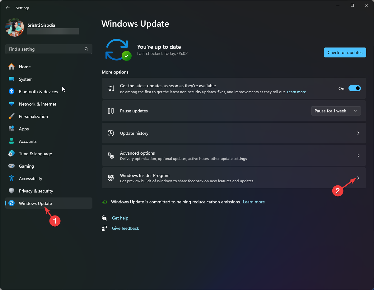 Windows Update, then click Windows Insider Program.