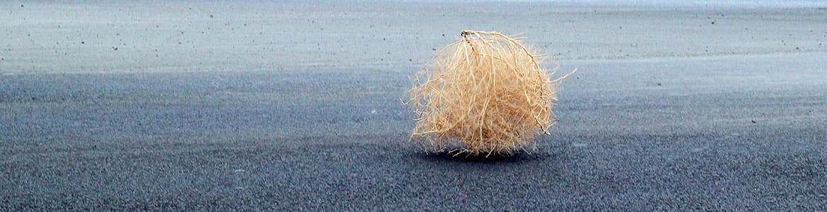 Tumbleweed on a concrete floor